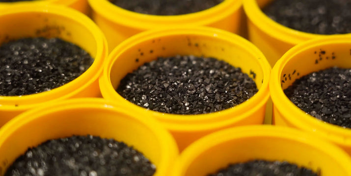 How Activated Carbon Water Filters Work (and What They Remove)