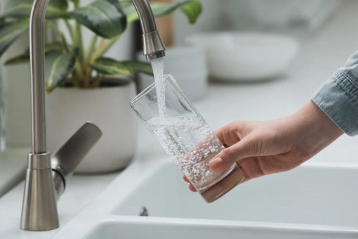 Why Does My Tap Water Taste or Smell Earthy or Musty?