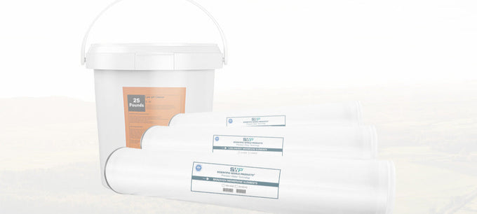 How to Clean a Reverse Osmosis Membrane: Maintenance for Long-Term Performance