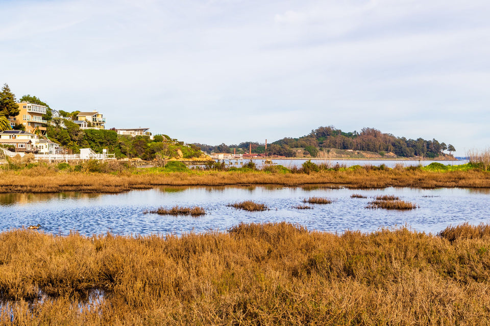 Waterfront homes on a wooded hillside above a coastal salt marsh, where tidal water meets brown grass
