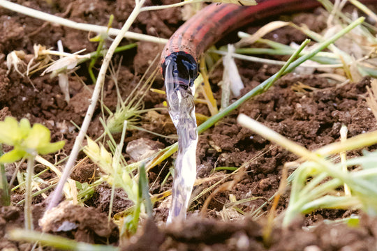 Greywater at Home: How to Reuse It Safely (and Why Your Softener Matters)