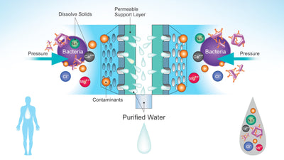 Does Reverse Osmosis Remove Microplastics and PFAS?