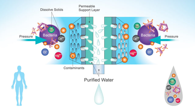 Does Reverse Osmosis Remove Microplastics and PFAS?