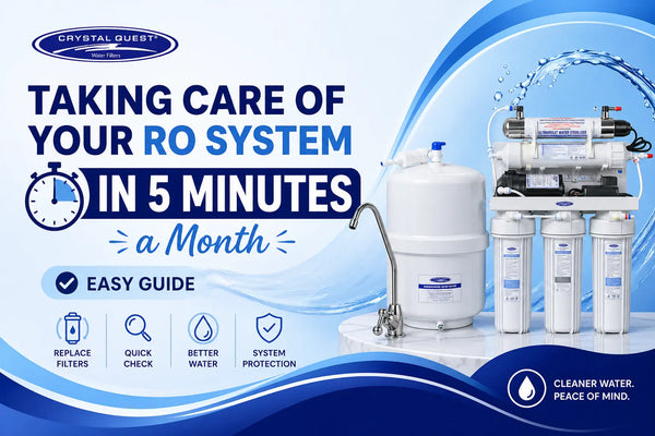 Taking Care of Your RO System in 5 Minutes a Month (Easy Guide)