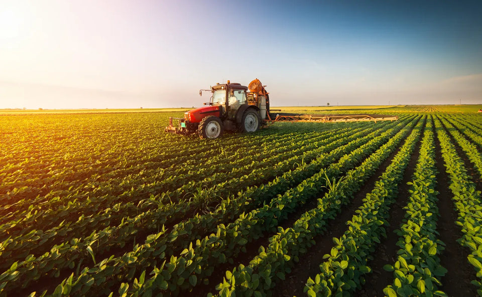 Red tractor spraying rows of young crops at sunset, the kind of farm herbicide application that can reach nearby streams