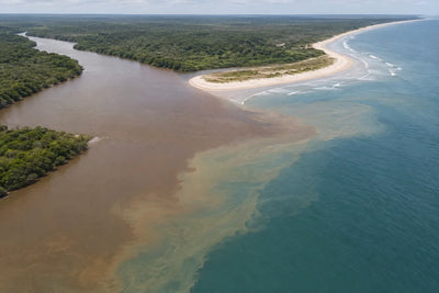 What Is Brackish Water? Salinity, Sources and Safety