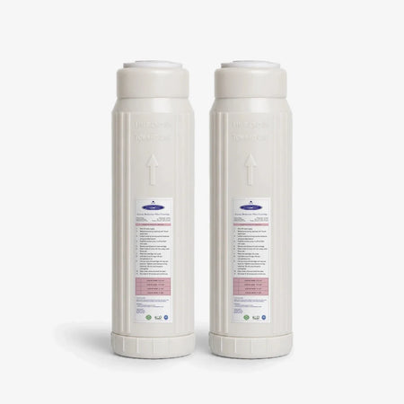 2-7/8" x 9-3/4" / Pack of 2 Arsenic Removal Filter Cartridge - Water Filter Cartridges - Crystal Quest®