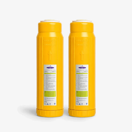 2-7/8" x 9-3/4" / Pack of 2 Lead Filter Cartridge - Water Filter Cartridges - Crystal Quest®