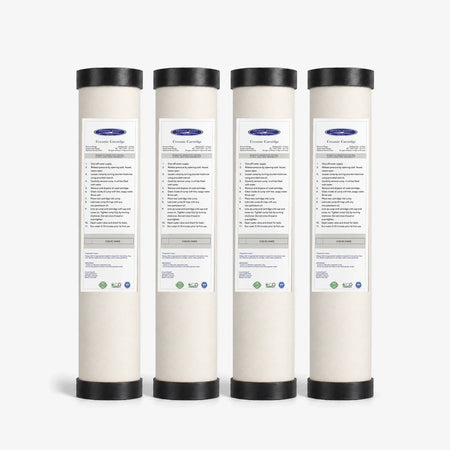 2-7/8" x 9-3/4" / Pack of 4 Ceramic Water Filter Cartridge - Water Filter Cartridges - Crystal Quest®