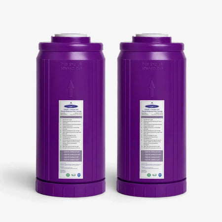 4-5/8” x 9-3/4” / Pack of 2 SMART + Calcium GAC Fluoride Reduction Cartridge - Water Filter Cartridges - Crystal Quest®