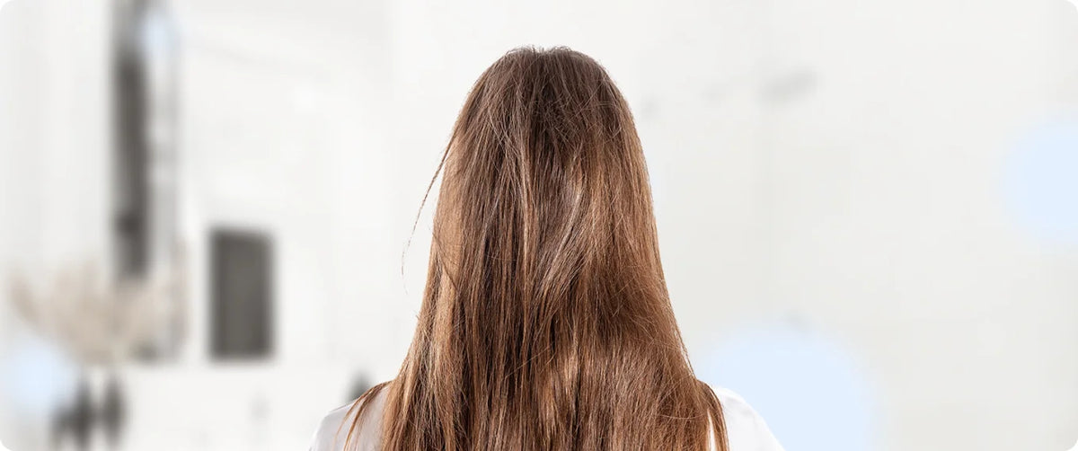Back view of long brown hair that looks dry and frizzy