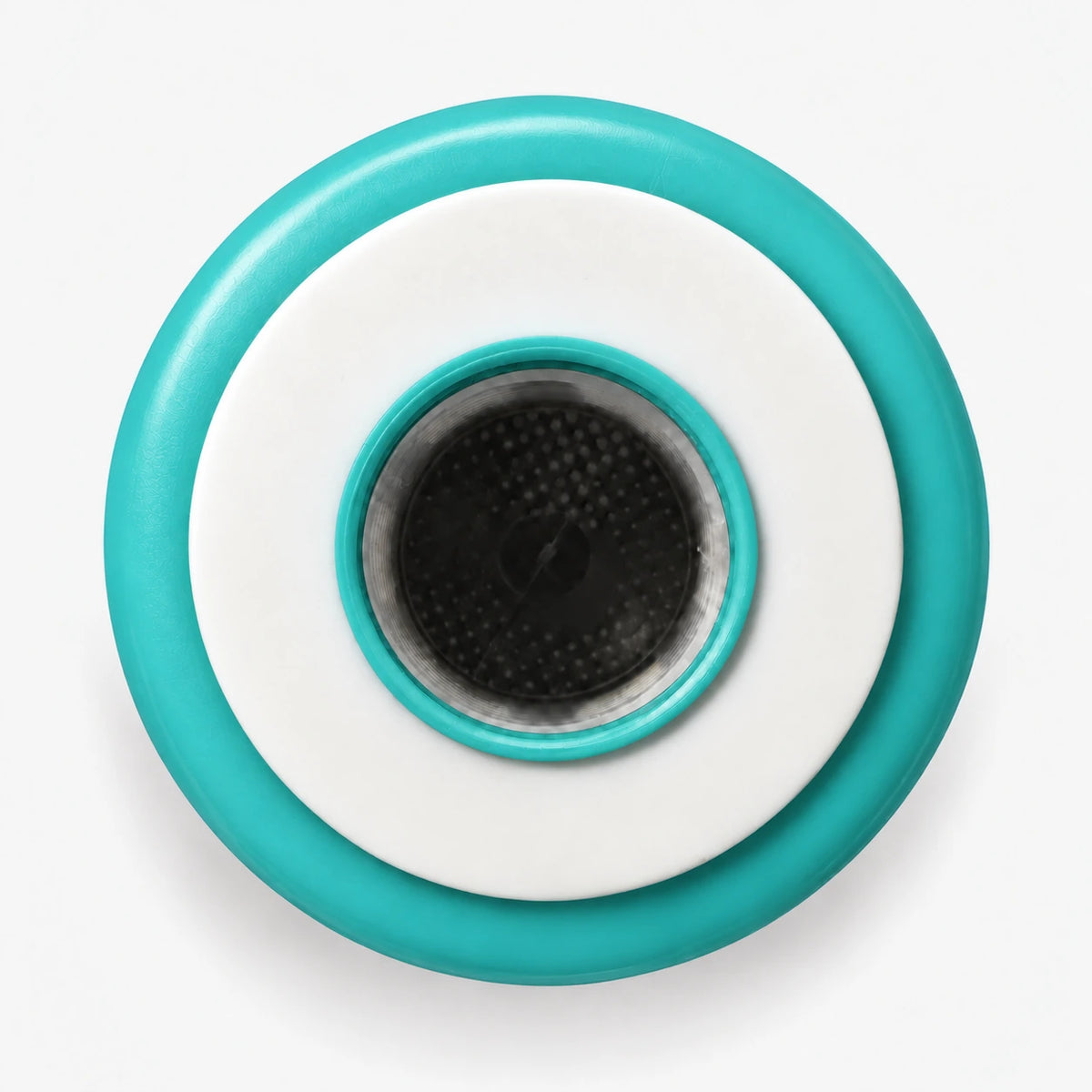GAC Filter Cartridge (Coconut Shell Granular Activated Carbon), 2-7/8 inch size: top end seen straight on, white seal ring around the center port