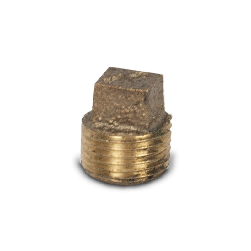 2.5" SS Housing Brass End Plug 3/8" FNPT