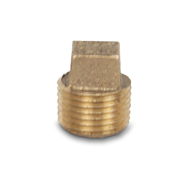 4" SS Housing Brass End Plug 1/2" FNPT