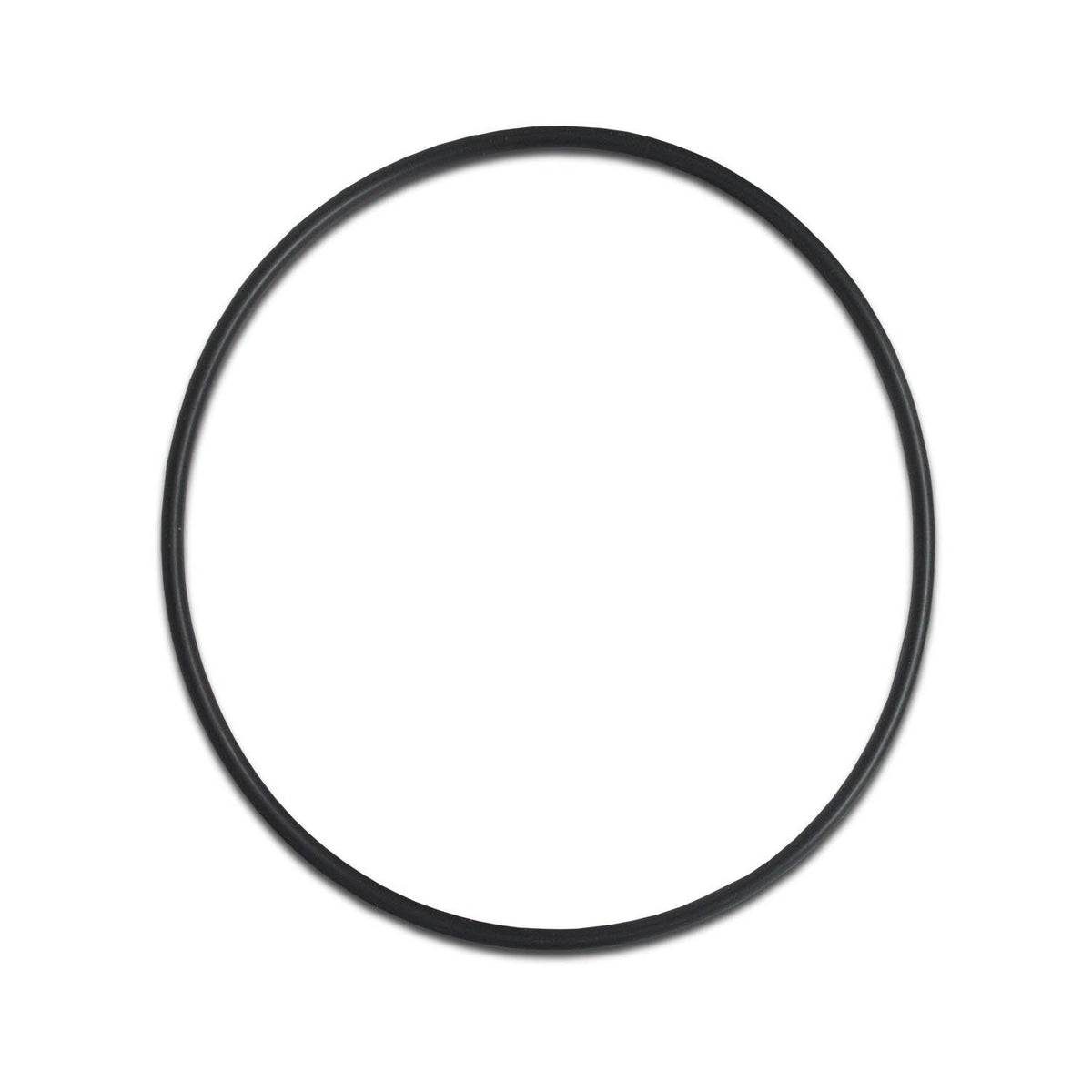 5" Big Blue Sump O-Ring (light blue, set of 3) - Parts - Crystal Quest